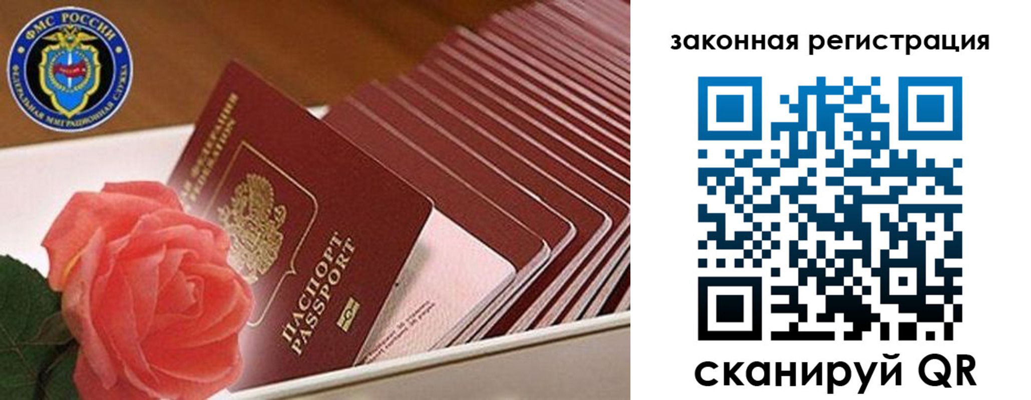 пропишу в квартире в Курской области