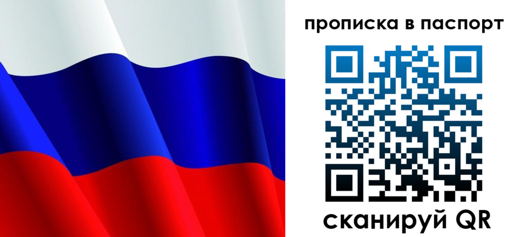 прописка в Курской области